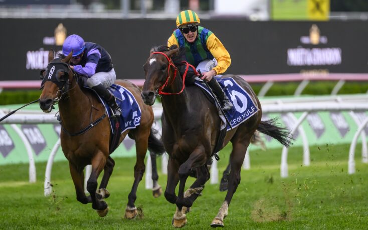 从中汲取经 从中汲取经