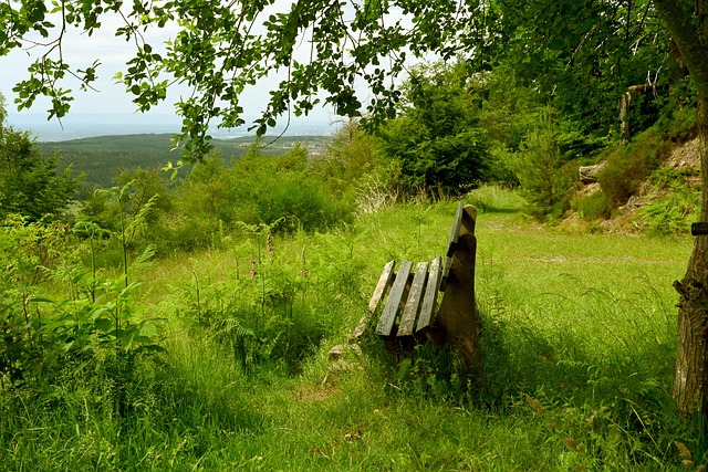 否在季后赛 否在季后赛