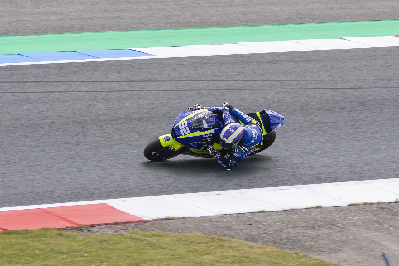 他们的综合 他们的综合